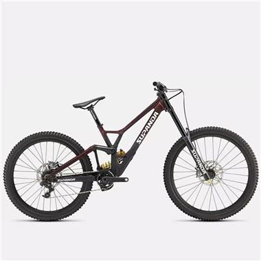 Downhill mountainbike til kvinder