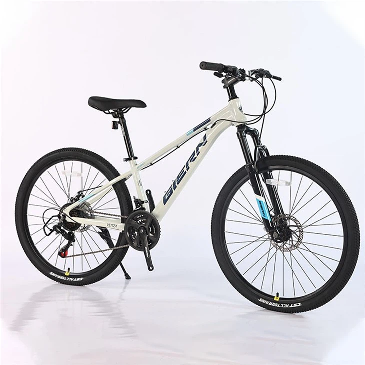 Mtb All Mountain Hardtail