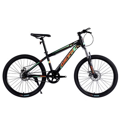 Single Speed ​​DH cykel