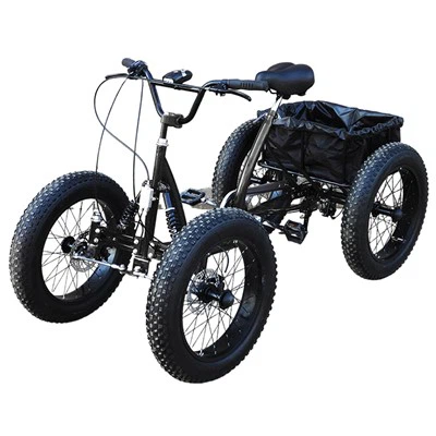 20 tommer sne firehjulede cykel